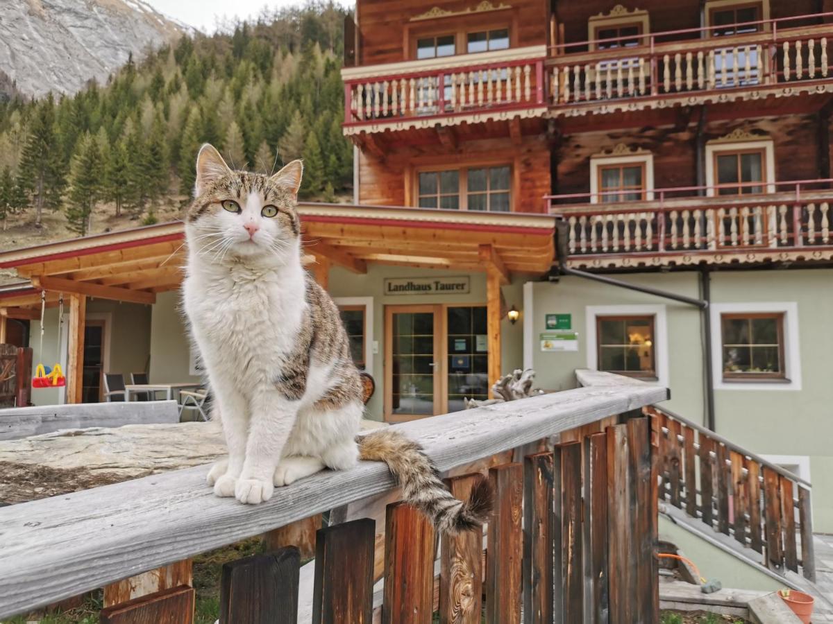 Landhaus Taurer Kals-am Großglockner Exterior foto